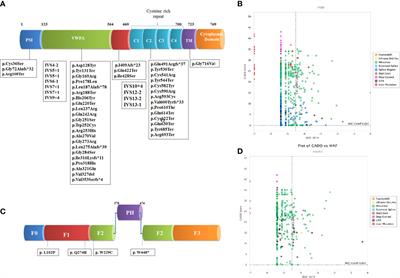 Clinical and Genetic Spectrum of a Large Cohort of Patients With Leukocyte Adhesion Deficiency Type 1 and 3: A Multicentric Study From India